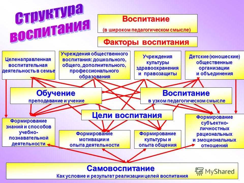Проект по педагогике для школьников
