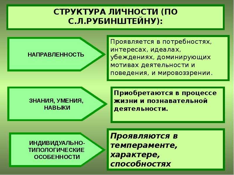 Схема структуры личности по рубинштейну