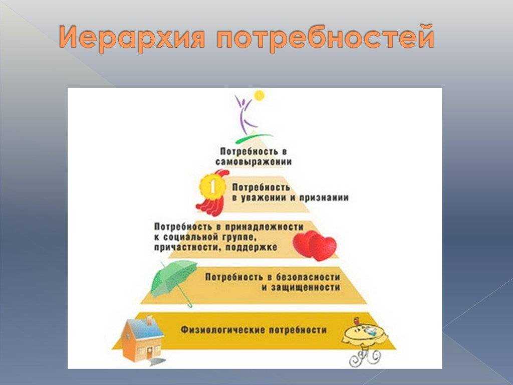 Воспитание потребностей