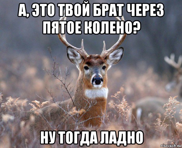 Ну тогда приходи