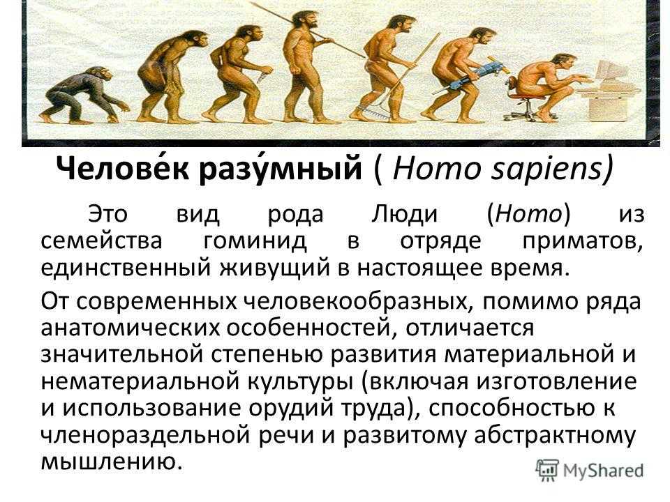 Хомо сапиенс появился в эпоху. Человек разумный homo sapiens характеристика. Хомо сапиенс сапиенс характеристика. Стадии развития человека хомо сапиенс.