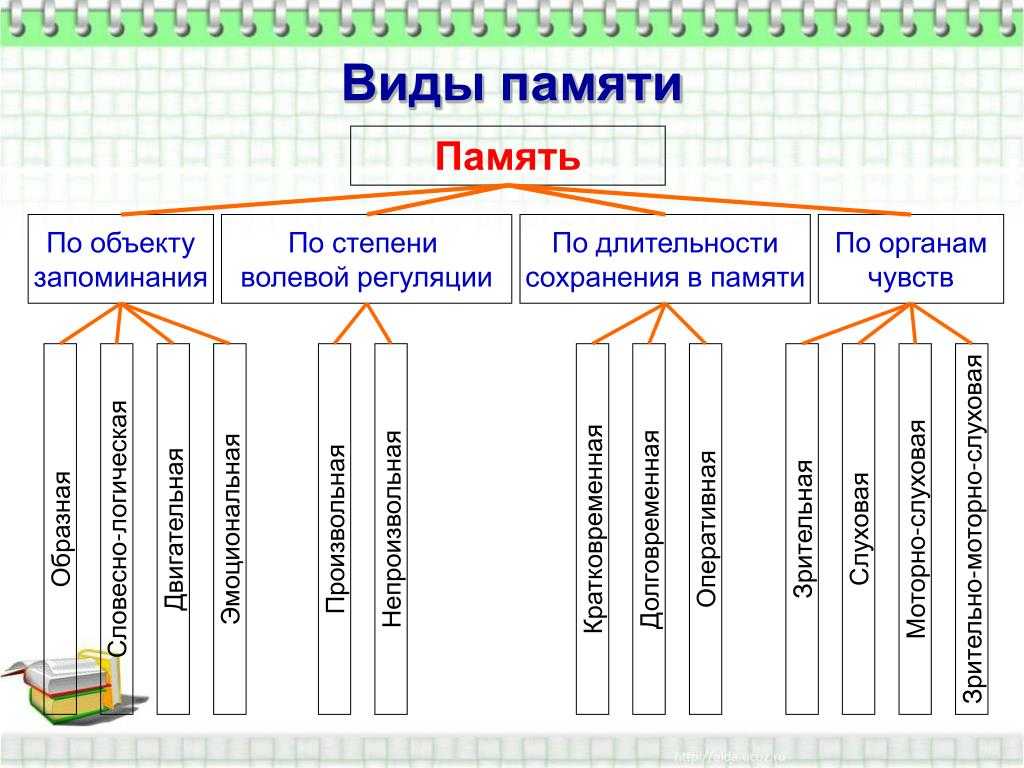 Виды краткосрочного рисунка