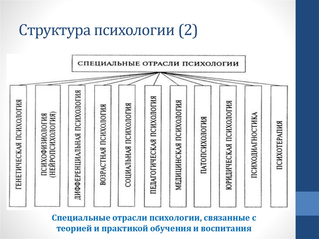 Структура психологии схема