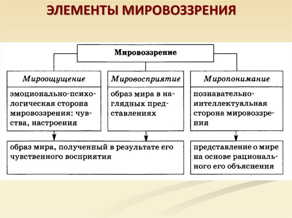 Человек формирует свой взгляд на мир свою картину мира егэ ответы