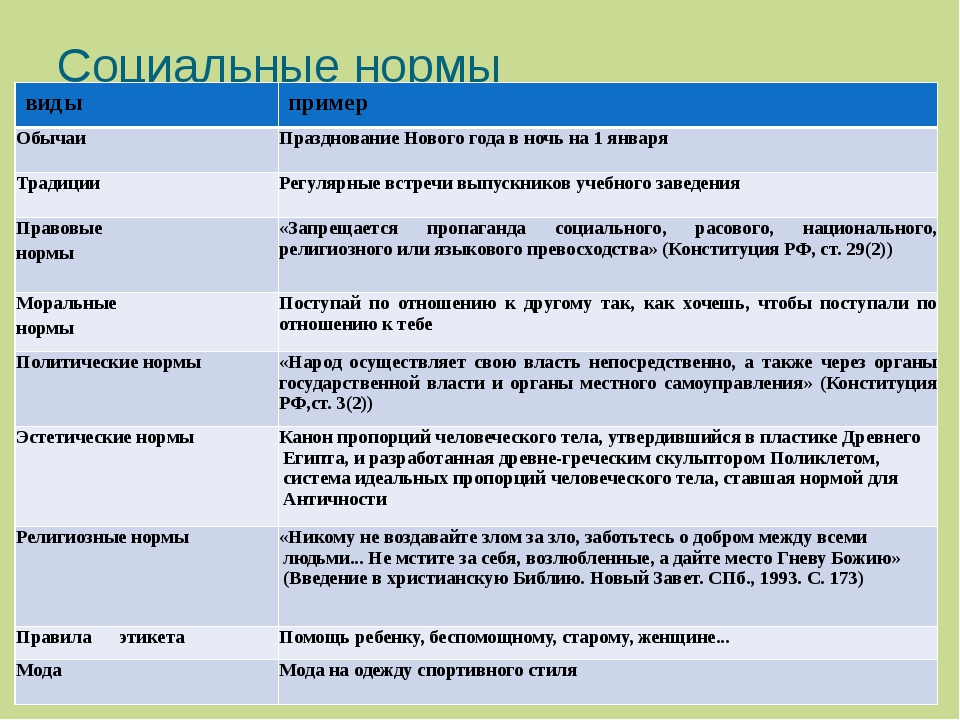 Правила поведения образцы стандарты деятельности выполнение которых считается