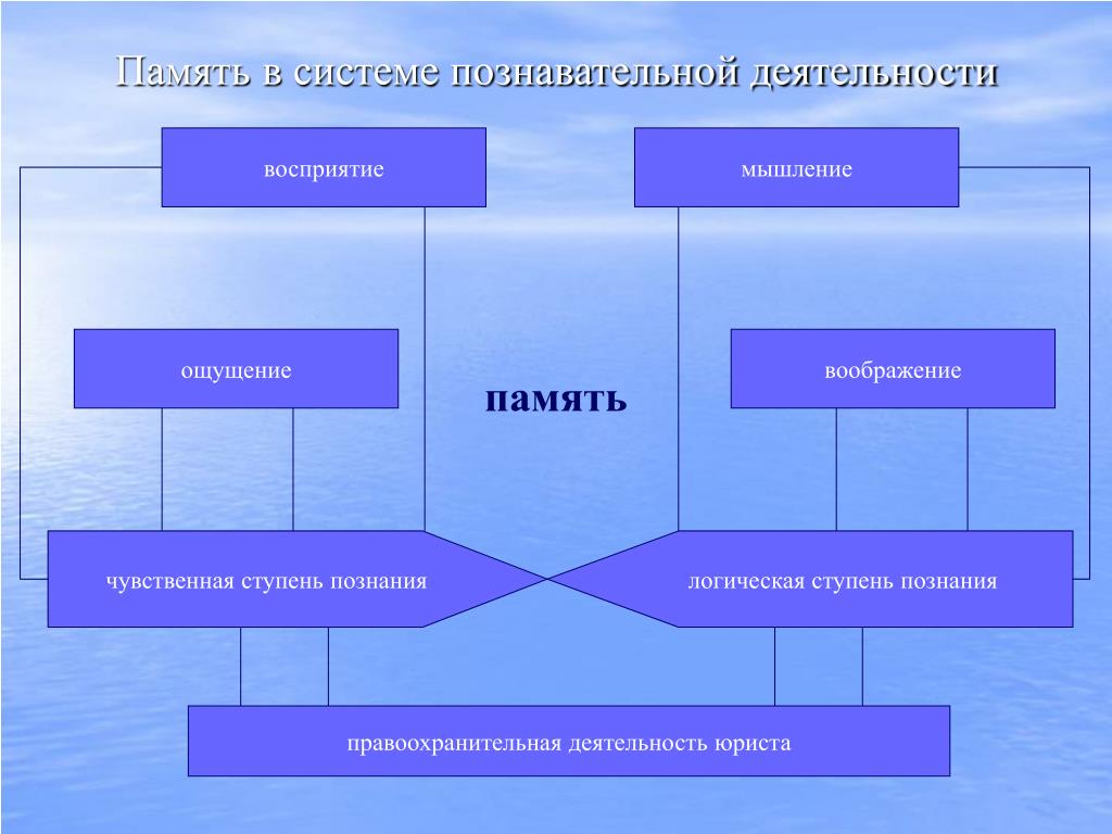 Роль памяти и внимания в жизни человека презентация