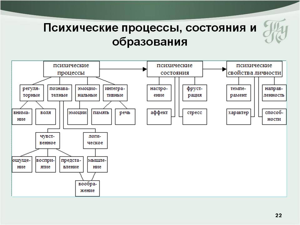 Психические образования личности. Классификация психических процессов Рубинштейн. Психологические Познавательные процессы таблица. Познавательные психические процессы схема. Психологические Познавательные процессы в психологии.