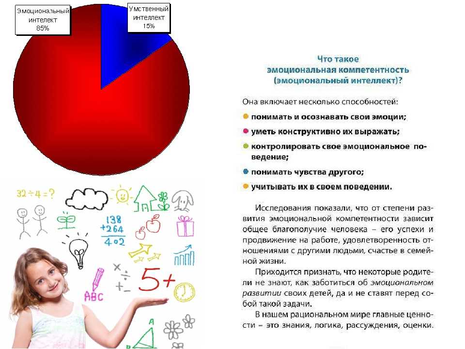 Эмоциональный интеллект учителя