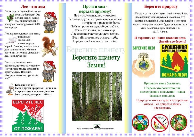 Буклет на тему экология. Экологические брошюры для детей. Брошюра защита леса. Памятка о сохранении природы. Буклет правила поведения в лесу.