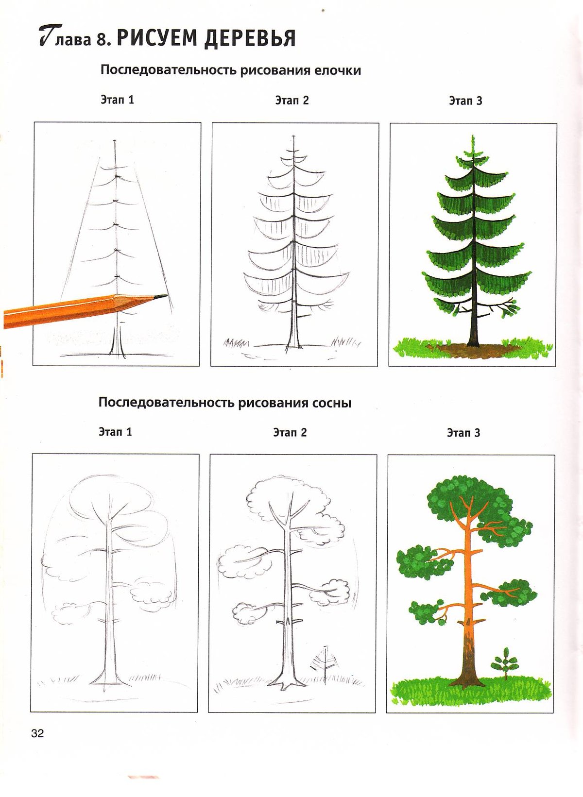 Как нарисовать дерево поэтапно для детей