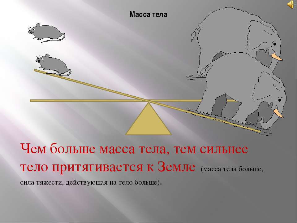 Чем больше масса тела тем. Масса тела. Масса в физике. Определение массы тела. Определение массы тела в физике.