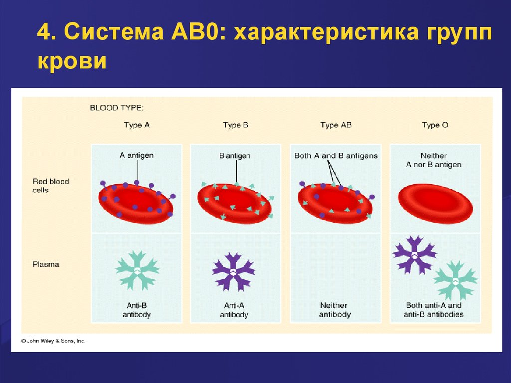 Карта групп крови