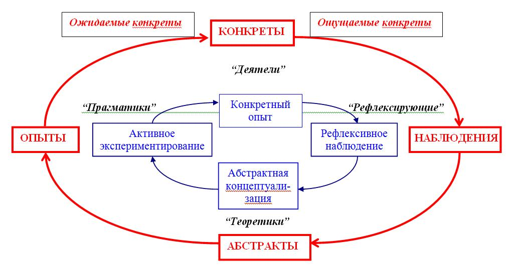 Цикл колба в тренинге. Циклическая модель динамики культуры. Цикличная модель развития культуры. Цикл колба. Обучающий цикл колба.