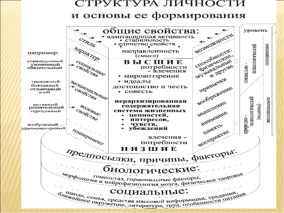 Психологическая структура личности. Модели психологической структуры личности. Структура формирования личности. Раскройте структуру личности. Структура личности и основы ее формирования.