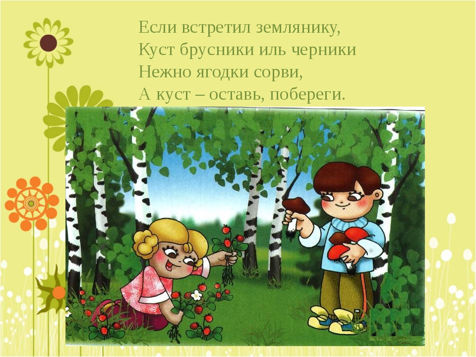 Опишите правила поведения на природе. Правила поведения на природе. Правила поведения на приро. Правила поведения в лесу. Правильное поведение в лесу.