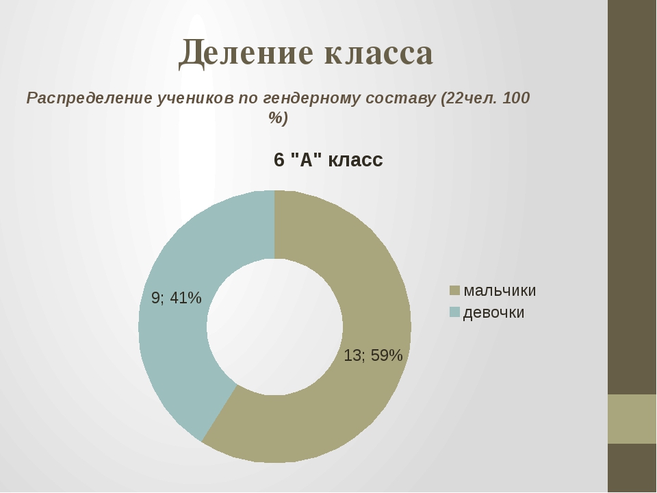 Распределение по классам. Распределение на классы. Классовое распределение. Процент распределение классов. Гендерное деление.