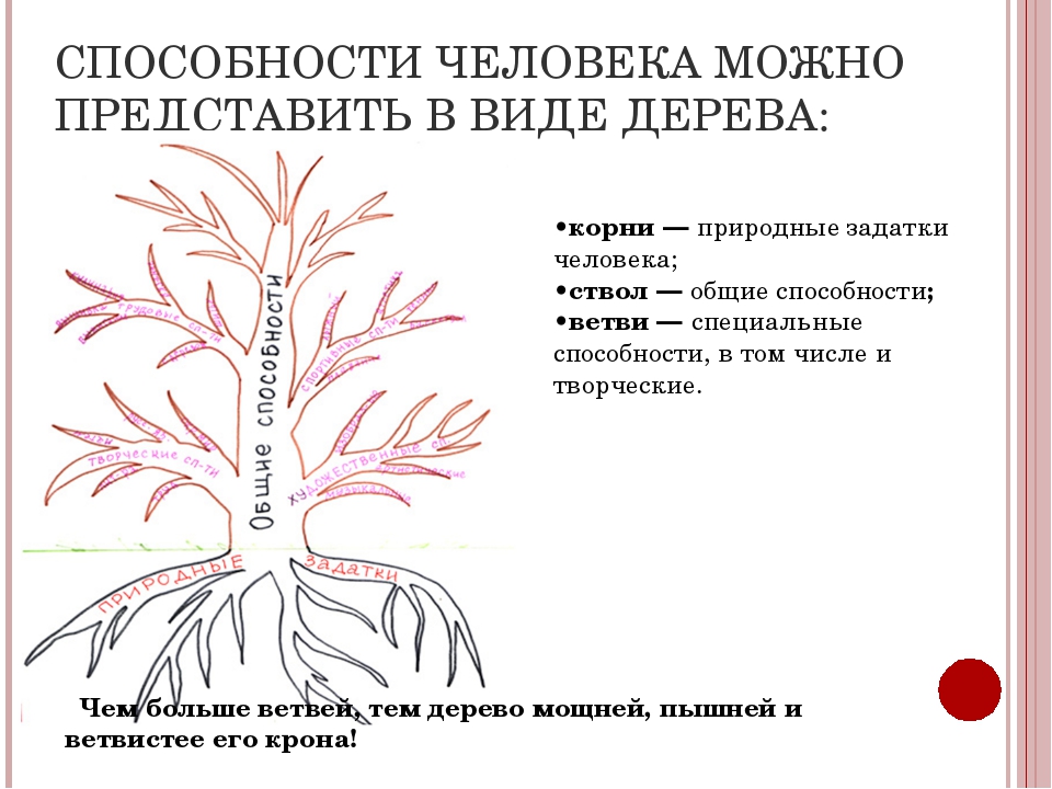 Рисунок дерева расшифровка