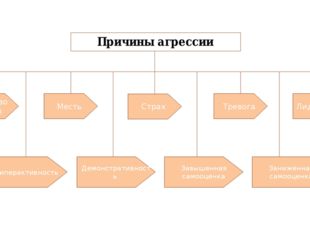 Причины агрессии Чувство вины Страх Месть Тревога Лидерство Гиперактивность Д