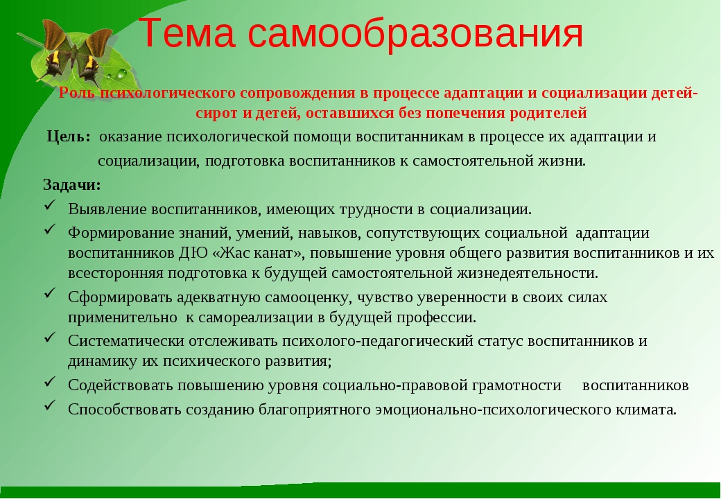 План самообразования учителя дефектолога в школе по фгос