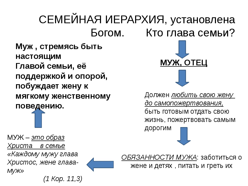 Иерархия в семье картинки