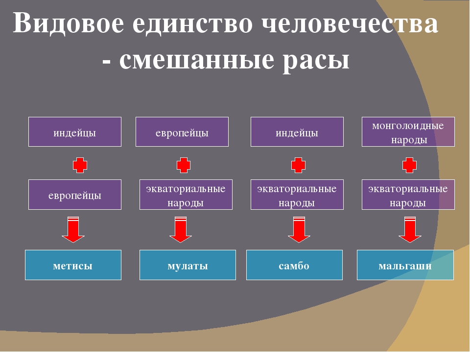 Человеческие расы схема