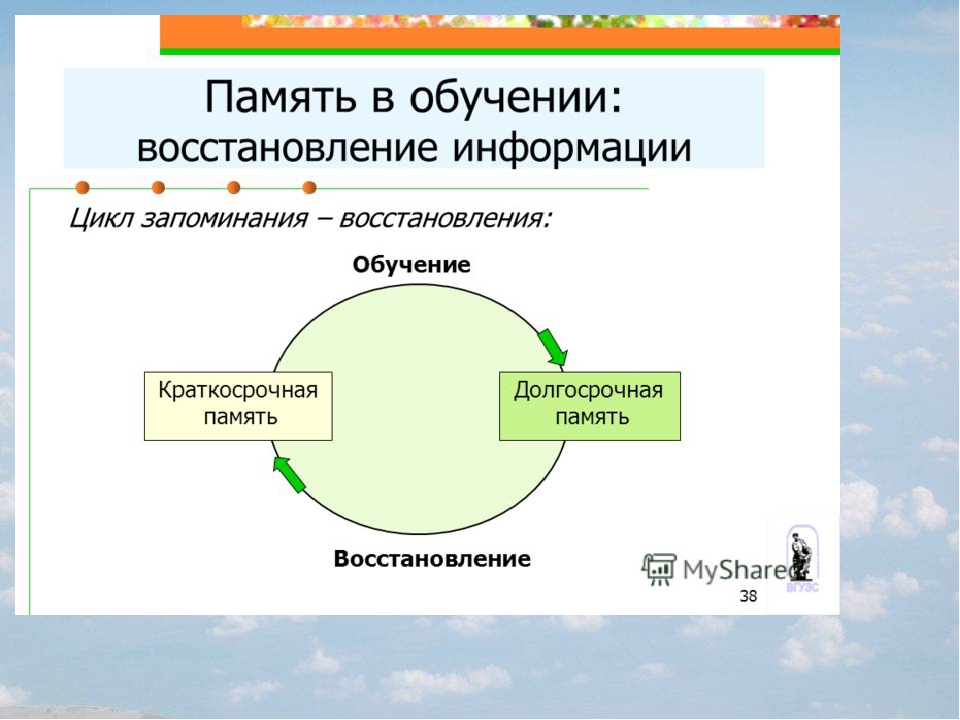 Роль памяти в деятельности. Память и обучение. Краткосрочная память. Образование памяти. Краткосрочная память и долгосрочная память.