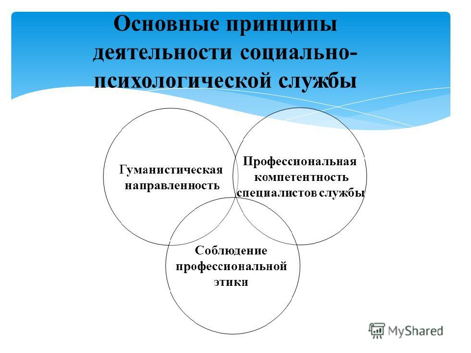 Общая характеристика деятельности в психологии. Принципы работы психологической службы. Структура социально-психологической службы. Основные принципы социальной работы.