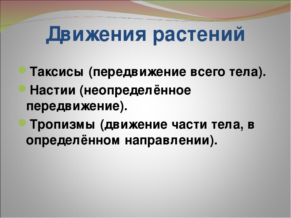 Настия. Движение растений таксисы. Движения растений тропизмы настии и таксисы. Тропизмы и настии. Движение это в биологии.