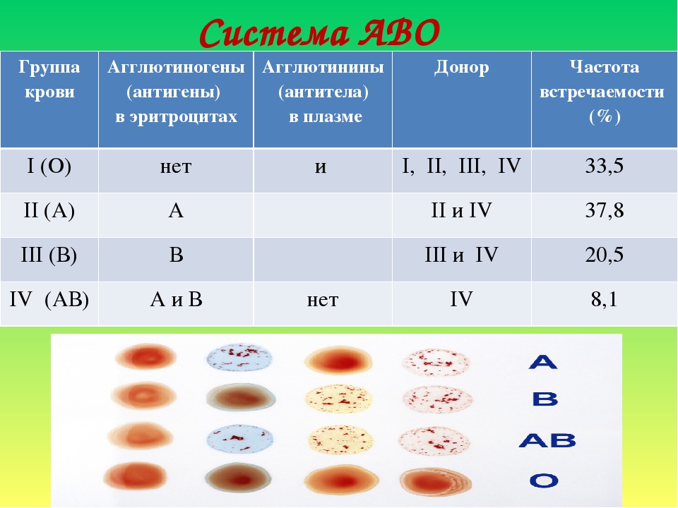 Группы крови человека презентация