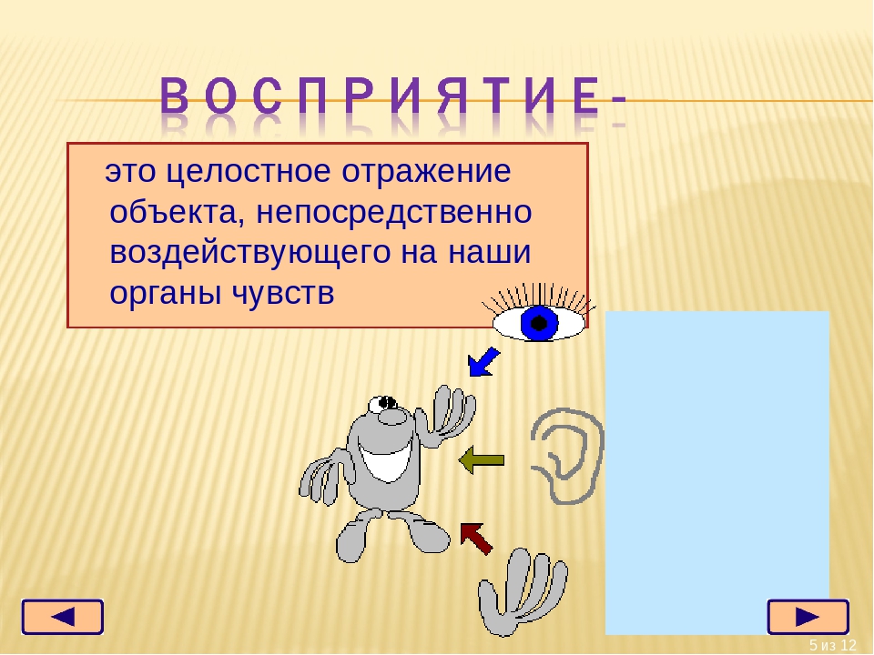 1 отображение целостного образа непосредственно воздействующего предмета. Целостное отражение объектов. Целостное отражение объекта, воздействующего на наши органы чувств. Целостное отражение объекта непосредственно. Целостное отражение предмета.