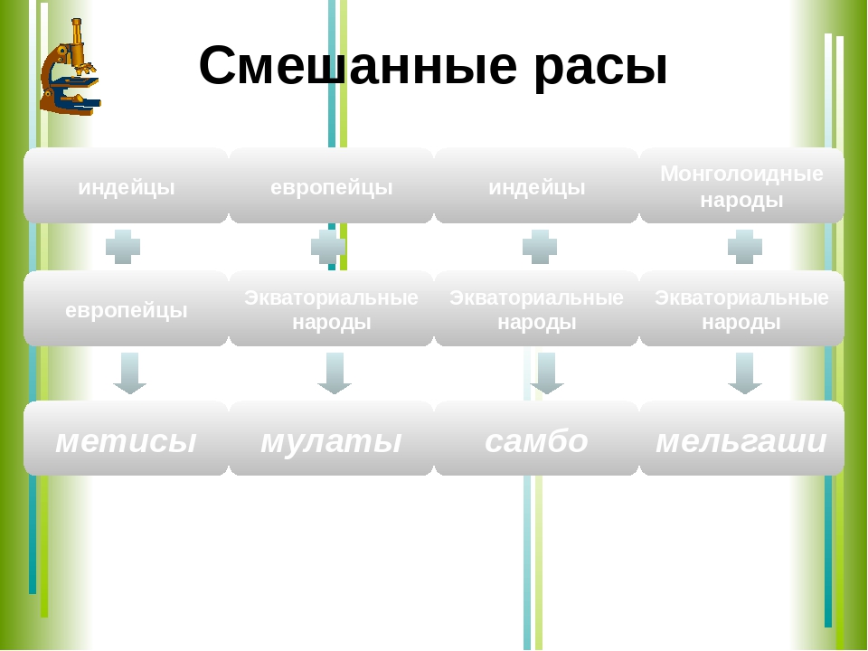 Как называют смешанные. Смешанные расы. Смешанные расы схема. Смешение рас таблица. Смешанные расы биология.