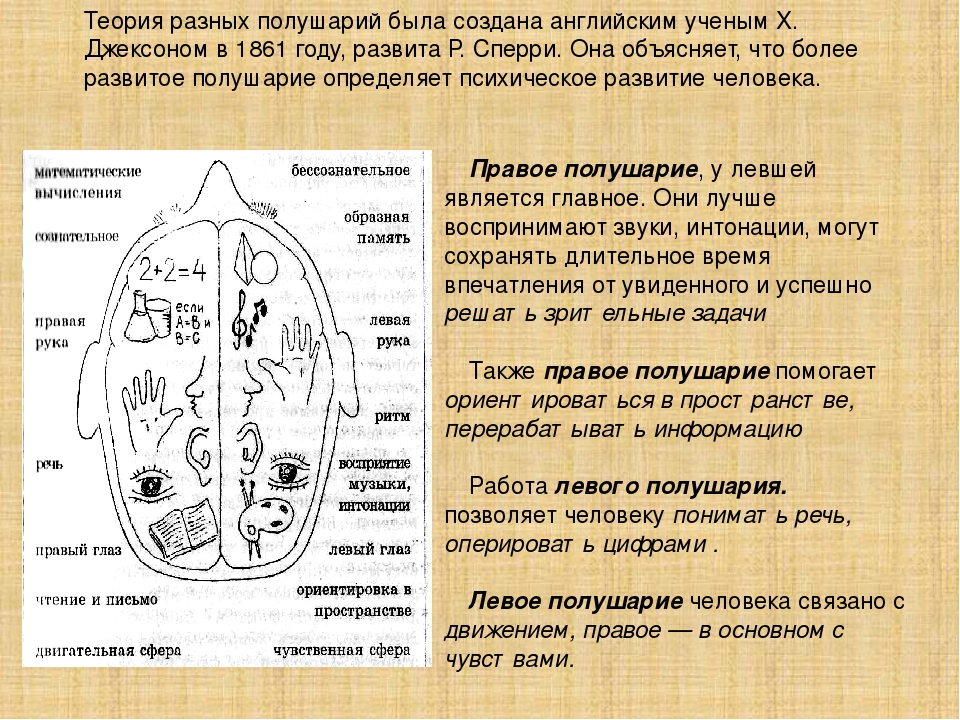 Определение полушария мозга. Какое полушарие у левшей. Правое полушарие у левшей. Левша и правша полушария мозга. Правое и левое полушарие Левша правша.