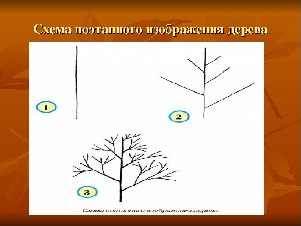 Схематический рисунок. Дерево схематический рисунок. Схема поэтапного рисование дерево в средней группе. Изобразить с помощью схемы дерево. Схема поэтапного изображения зимнего дерева.