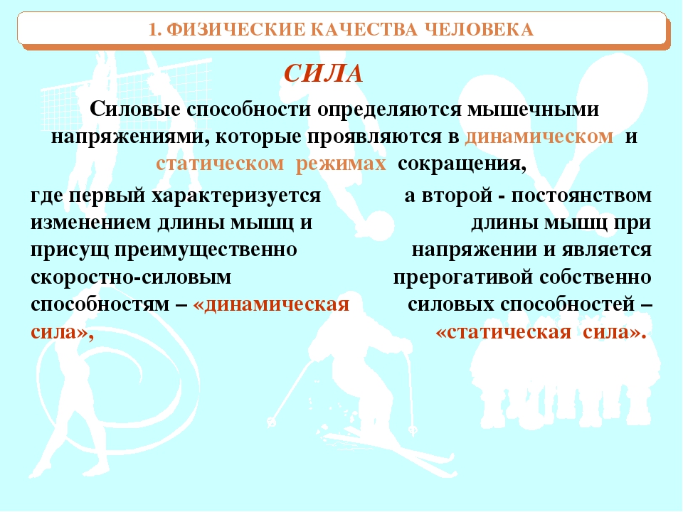 Физическая сила зависит. Физические качества человека. Физическое качество сила. Виды силы в физической культуре. Физические способности сила.