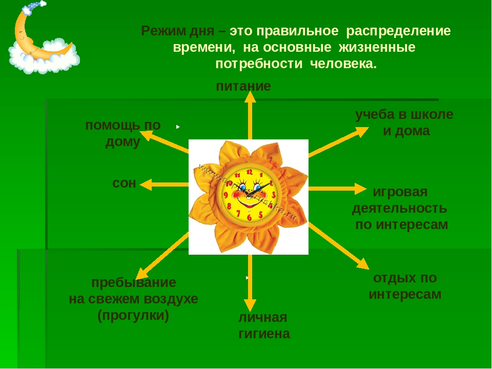 Виды свободного времени. Правильное распределение режима дня. Режим дня это правильное распределение времени на основные. Режим дня это правильное распределение времени на основные жизненные. Правильное распределение свободного времени.