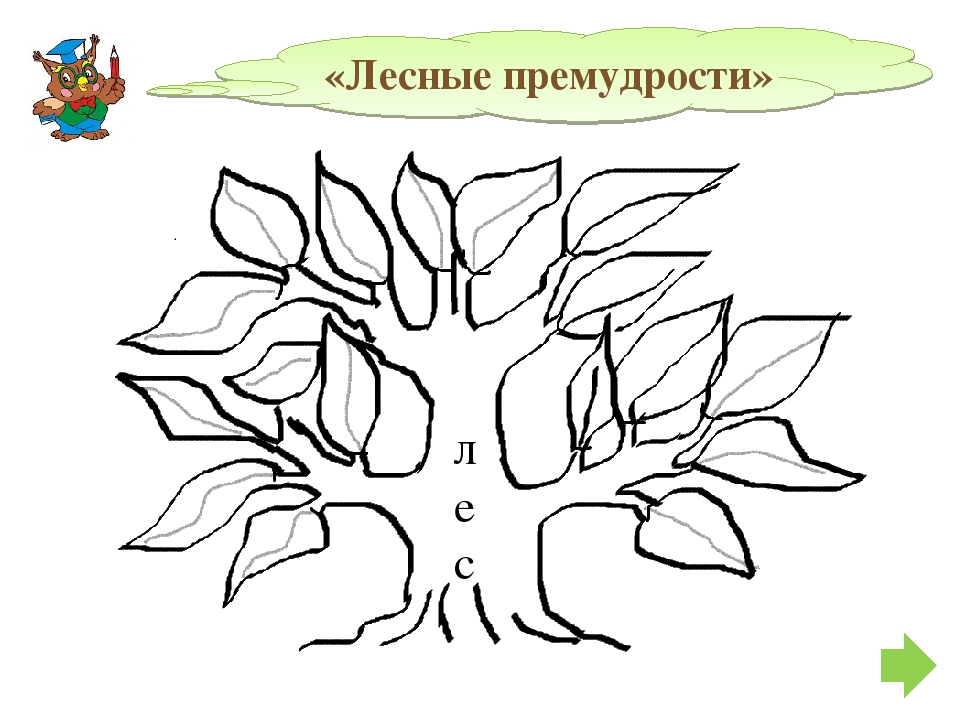 Нарисовать дерево с однокоренными. Дерево с однокоренными словами. Дерево для проекта семья слов. Дерево с однокоренными словами 3 класс. Макет дерева с однокоренными словами.