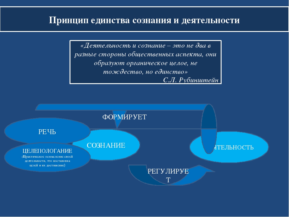 Единство сознания. Единство сознания и деятельности Рубинштейн. Принцип сознания и деятельности Рубинштейн. Принцип единства сознания и деятельности Рубинштейн означает. Теория единства сознания и деятельности.