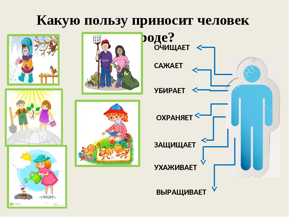 Польза тома. Какую пользу приносит человек природе. Польза человека для природы. Какую ползуприносятчеловеку. Какую пользу приносят пользу.