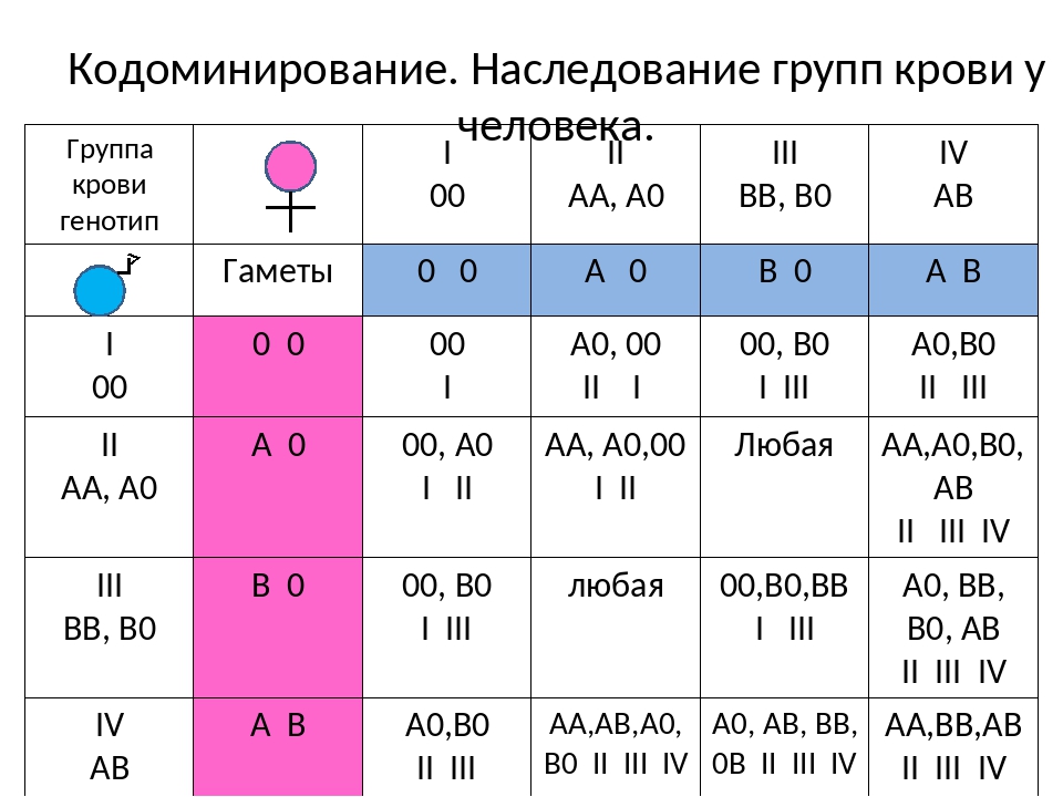 Отрицательная генетика. Наследование группы крови системы ав0 у человека таблица. Схема наследования групп крови и резус. Наследование групп крови системы аb0. Группы крови таблица наследования генетика.