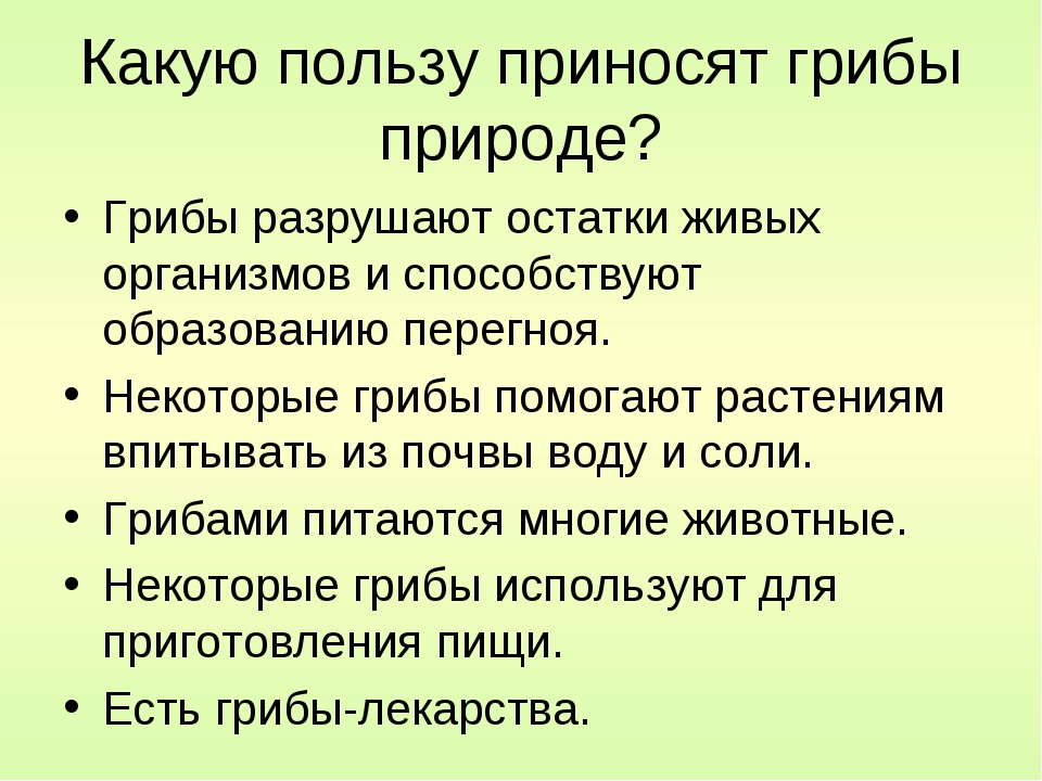 Польза природы. Какую пользу приносят грибы природе. Польза и вред грибов в природе.