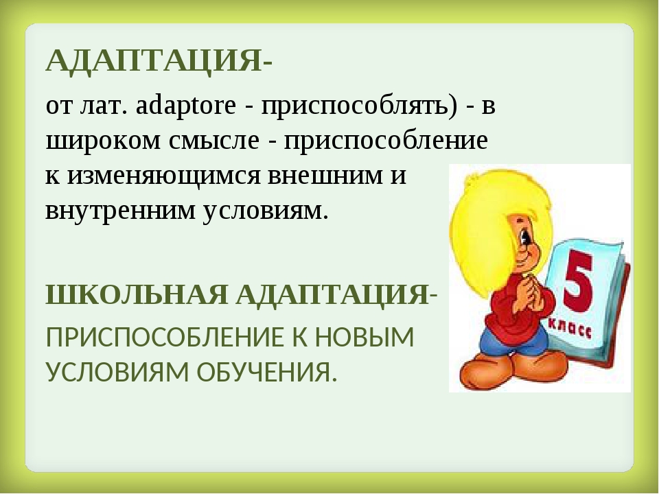 Адаптация пятиклассников. Адаптация пятиклассников в школе. Адаптация пятиклассников презентация. Презентация по теме адаптация.