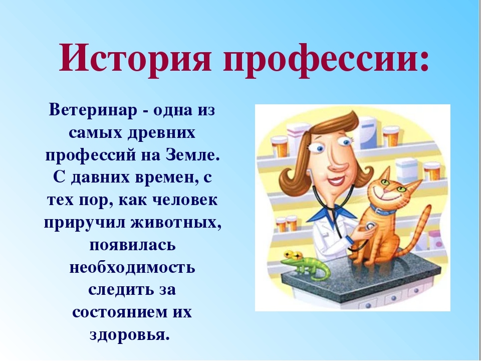 Сообщение на тему профессия. Рассказ о профессии. Рассказ о профессии ветеринара. Презентация на тему профессии. Профессия ветеринар презентация.