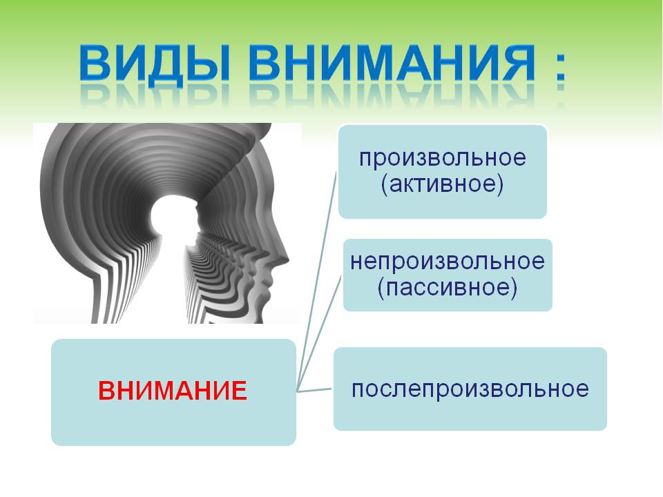 Выделенное внимание. Виды внимания. Виды произвольного внимания. Произвольный Тип внимания. Виды внимания произвольное непроизвольное.