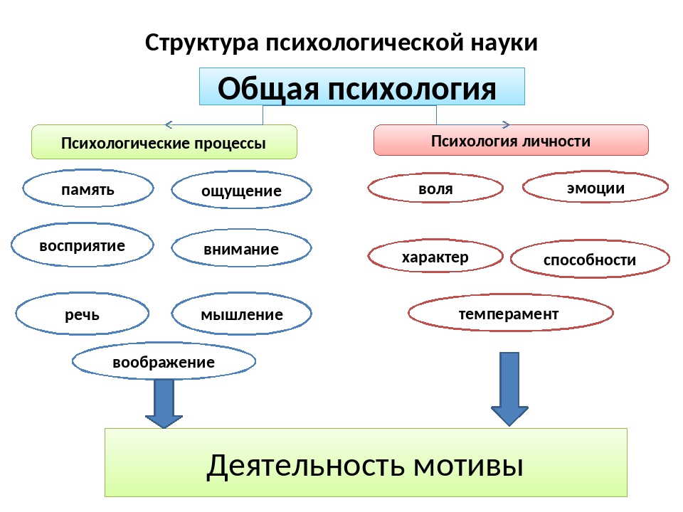 Отрасли психологической науки. Структура современного психологического знания. Структура современной психологии схема. Структура психологической науки.