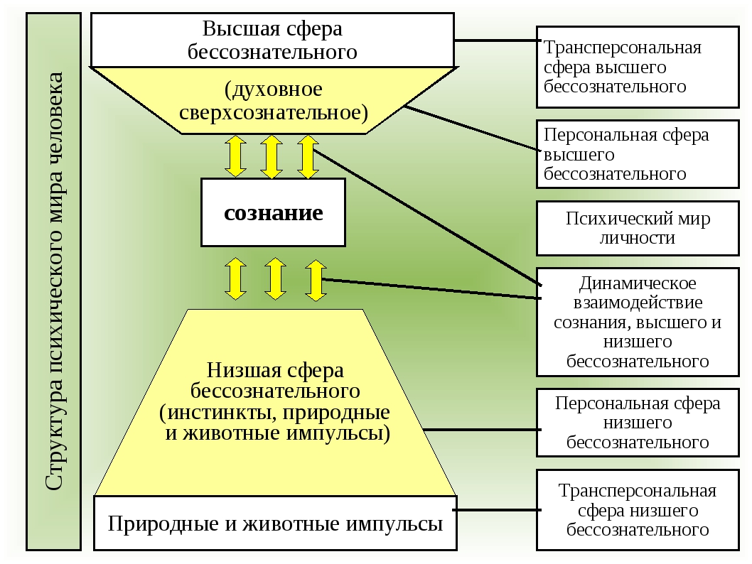 Все психические явления необходимо рассматривать в динамическом плане