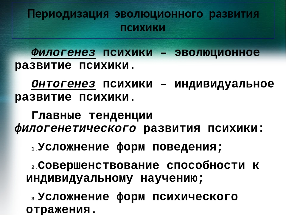 Процесс развития психики. Развитие в филогенезе. Филогенез психики. Развитие психики. «Происхождение и развитие психики» схема.