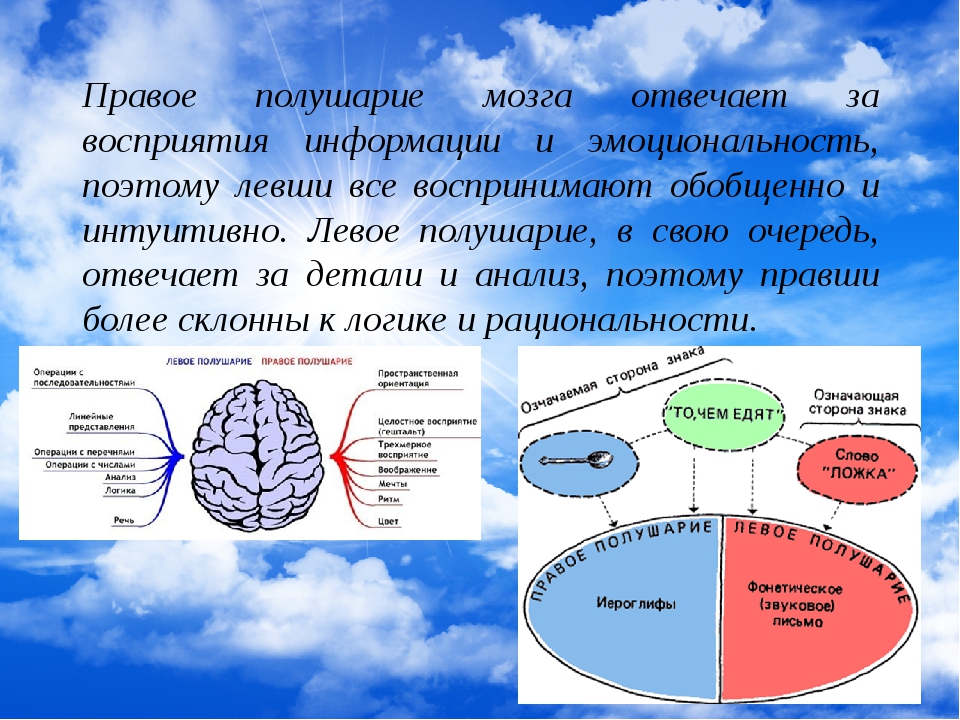 Развитие правого и левого полушарий. Полушария мозга. Правое полушарие. Левое и правое полушарие мозга. Правое полушарие мозга отвечает.