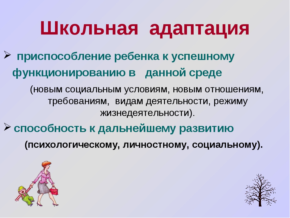 Новая школа адаптация