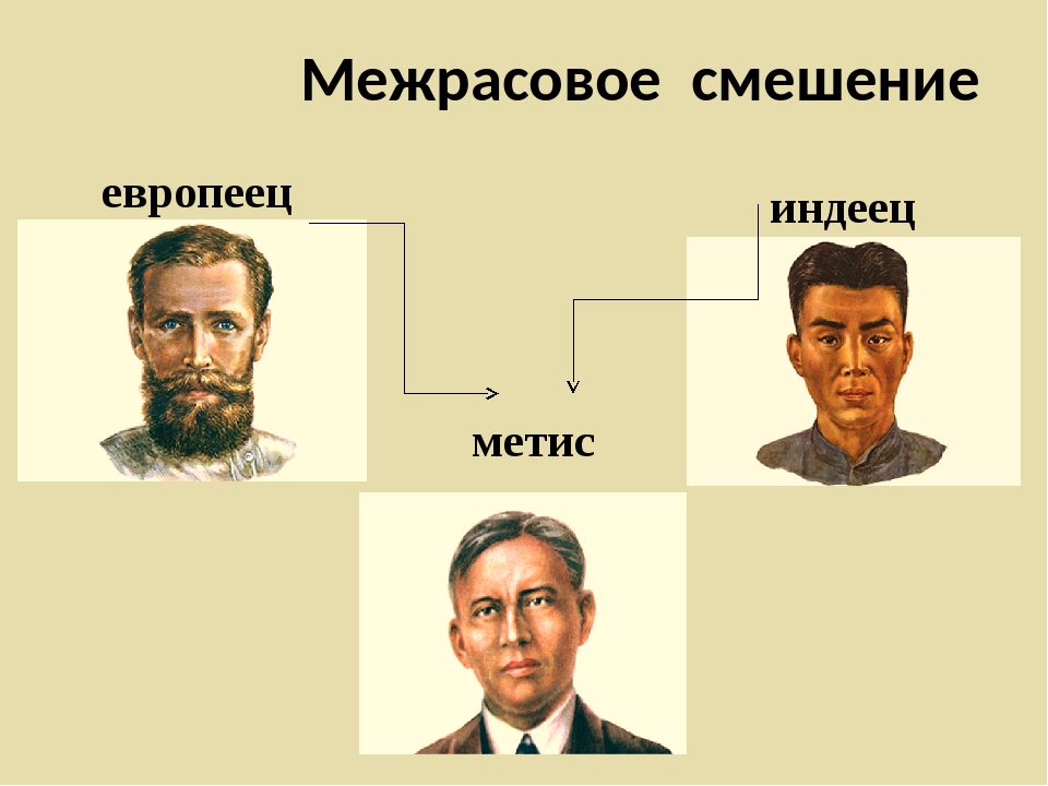 Отношения европейцев к европейцам. Смешение европеоидной и монголоидной расы. Смешанные расы Южной Америки. Метис индейца и европейца. Смешанные расы людей.