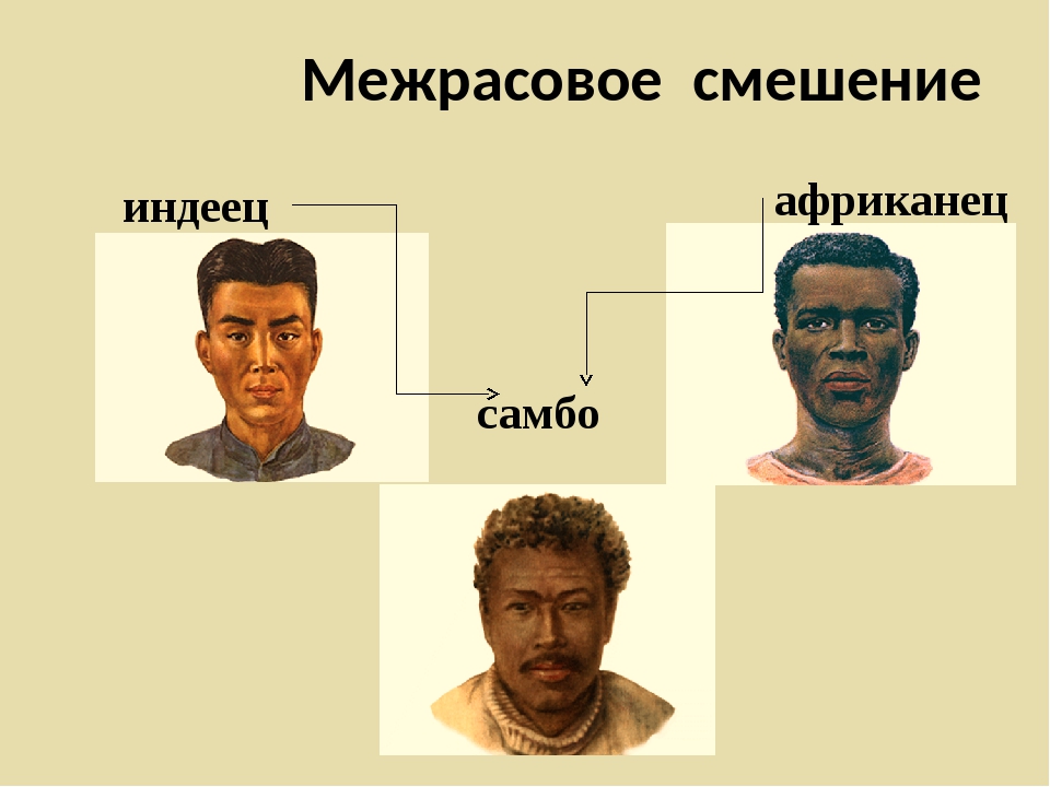 Рас занятия. Расы Южной Америки. Смешанные расы Южной Америки. Южная Америка расы и народы. Смешение рас в Южной Америке.